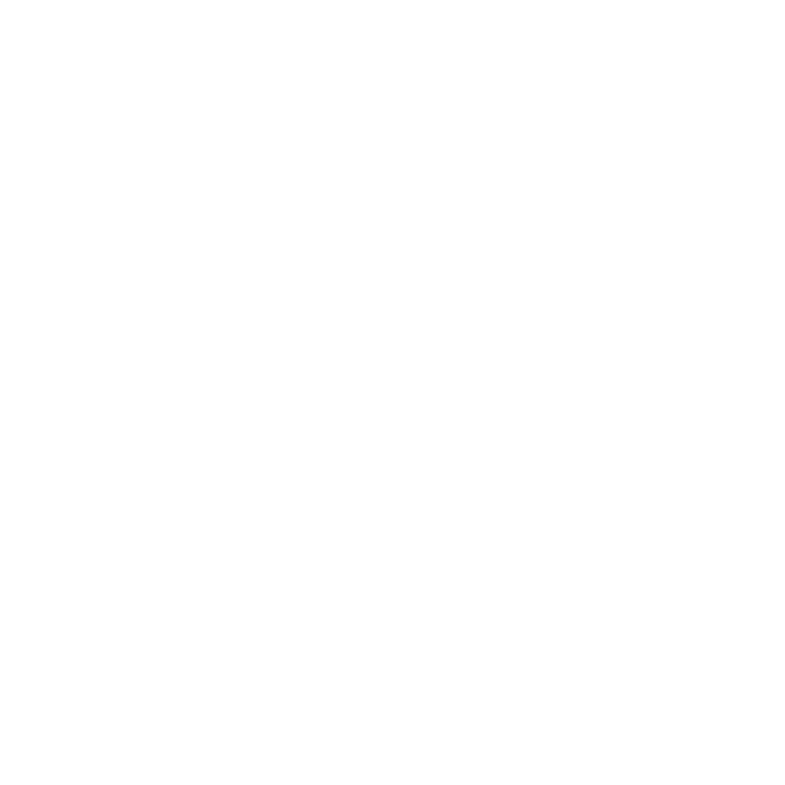 Village Tech logo in white